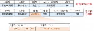 局域网基础